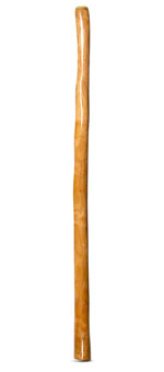High Gloss Finish Didgeridoo (NW144)